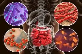 gut microbiome analysis
